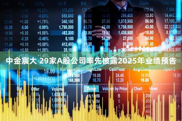中金宸大 29家A股公司率先披露2025年业绩预告