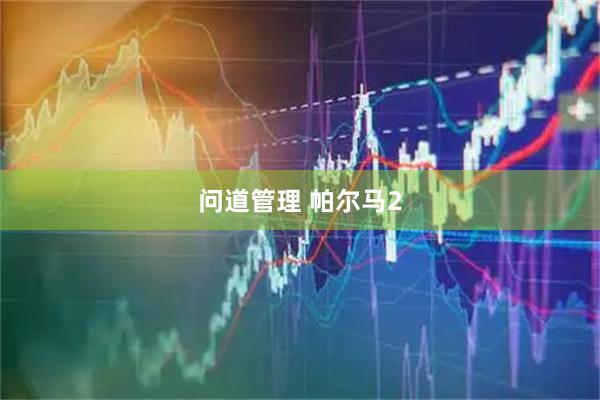 问道管理 帕尔马2